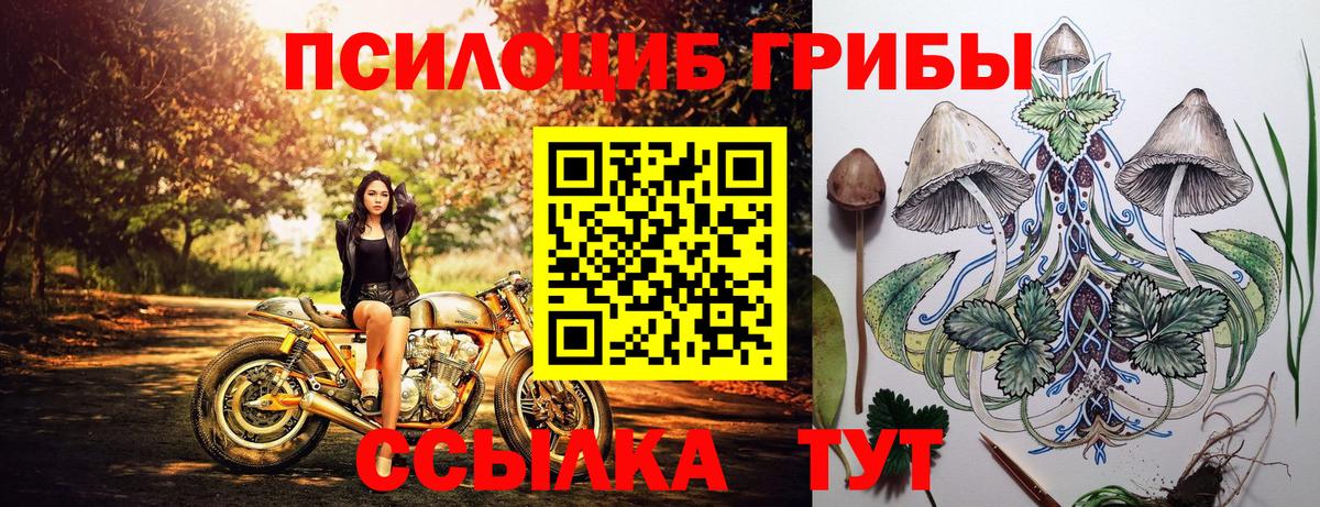 МДМА  APVP СОЛЬ кристаллы  Канабис  МЕФ кристаллы  Вход с VPN  Бийск  Гашиш  КОКАИН  Гашиш 